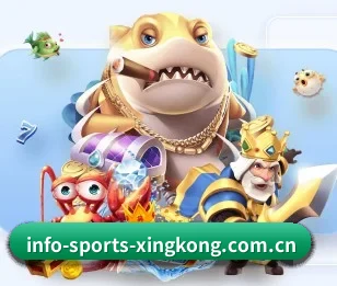 赛事数据与深度分析